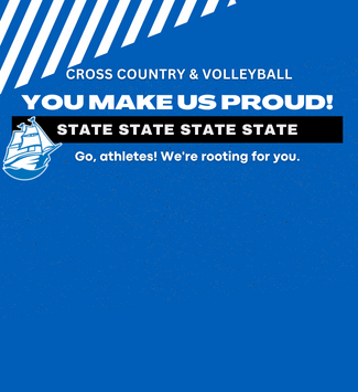  STATE VOLLEYBALL AND CROSS COUNTRY GRAPHIC